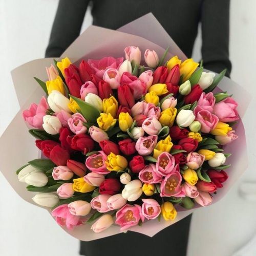 101 тюльпан микс